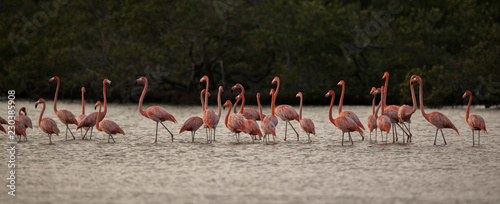 Bonaire
