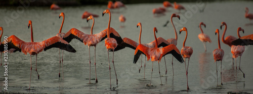 Bonaire photo