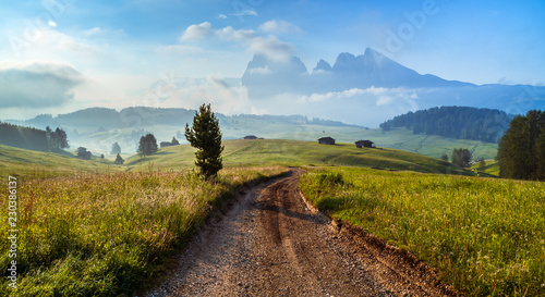 Foto Seiser Alm (Alpe di Siusi) with Langkofel mountain at sunrise in summer, Italy