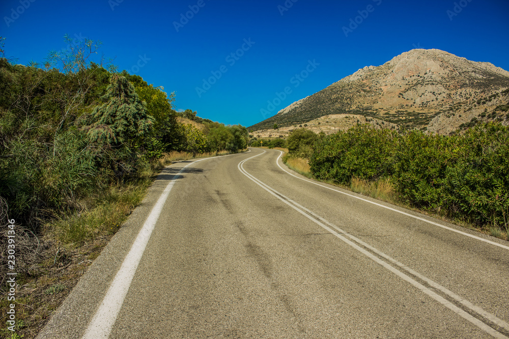 country side road on vivid mountain nature scenic summer landscape