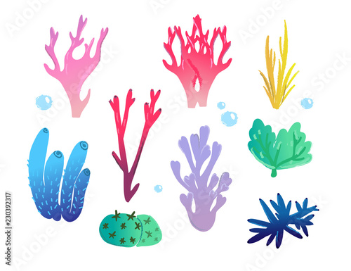 Hand drawn corals. Colored vector set. All elements are isolated