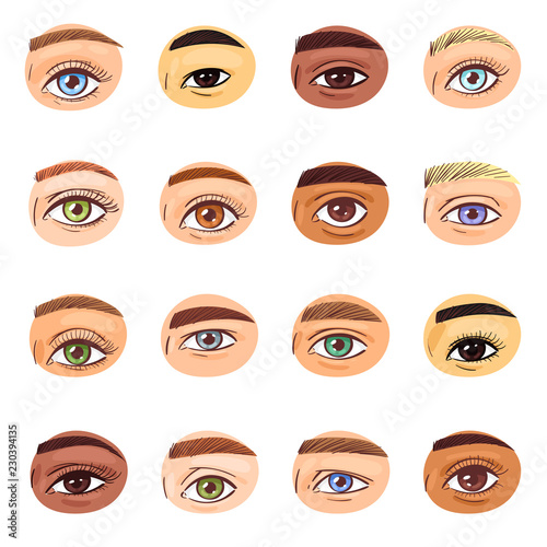 Eye vector human eyesight vision beauty female view of eyebrows eyelashes and eyelid illustration optical set of beautiful eyes with healthy eyeball iris eyehole isolated on white background