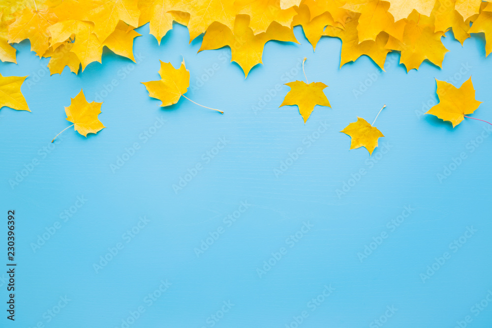 Welcome autumn. Fresh, yellow maple leaves on pastel blue table. Bright colors. Empty place for inspirational, positive text, quote or sayings. Flat lay. Top view. Welcome autumn. Fresh, yellow maple leaves on pastel blue table. Bright colors. Empty place for inspirational, positive text, quote or sayings. Flat lay. Top view.