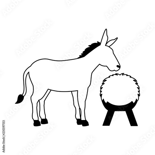 donkey and hay on white background