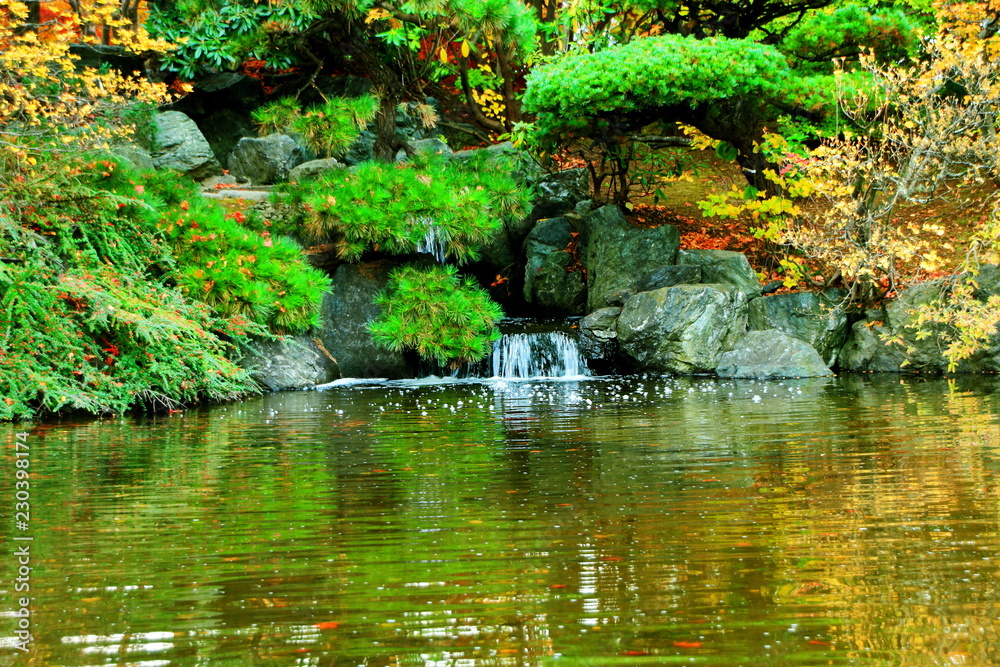 北海道、札幌平岡樹芸センターの紅葉 北海道、札幌平岡樹芸センターの紅葉