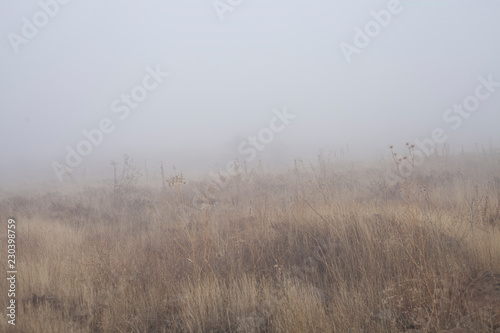 foggy land background
