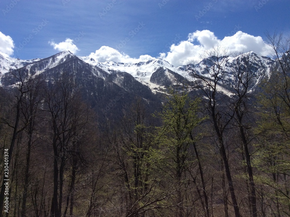 sochi, rosa khutor sochi, rosa khutor