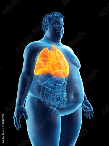 3d rendered medically accurate illustration of an obese mans lungs