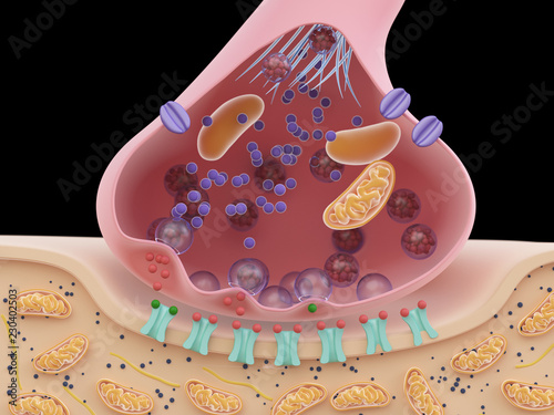Tableau sur toile 3d rendered illustration of a synapse cross-section