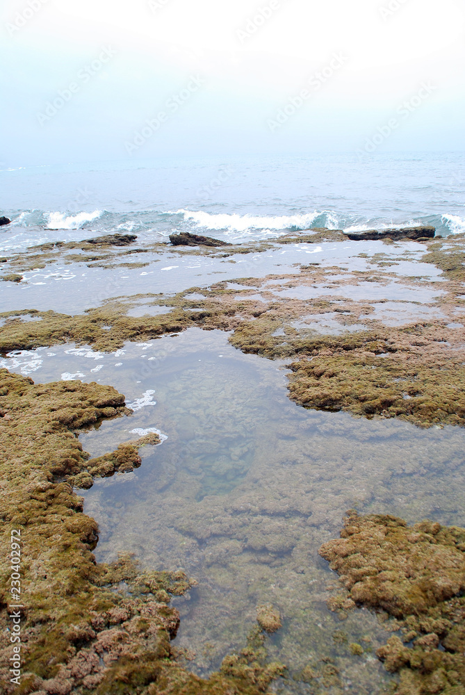 Obraz premium LOS CORRALES DE CHIPIONA, CÁDIZ. ANDALUCÍA, ESPAÑA