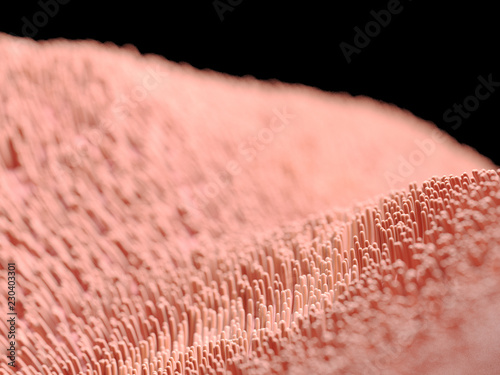 Tela 3d rendered illustration of human cilia