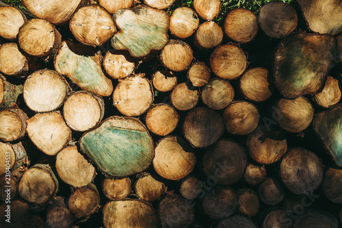 Logs stacked  Background.