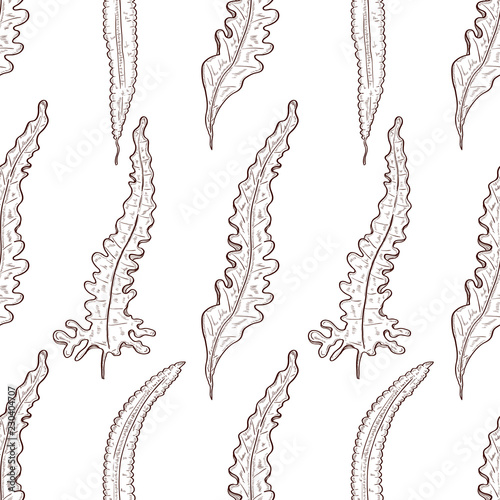 Laminaria. Seaweed. Monophonic. Sketch. Background, wallpaper, texture, seamless. On a white background.