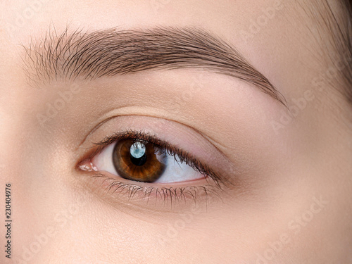 Close up view of beautiful brown female eye. Perfect trendy eyebrow. Good vision, contact lenses, brow bar or fashion eyebrow makeup concept