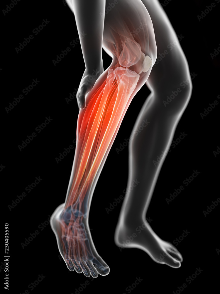3d rendered illustration of a man having a painful calf 3d rendered illustration of a man having a painful calf