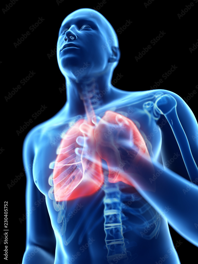 3d rendered illustration of a man having an inflamed lung 3d rendered illustration of a man having an inflamed lung