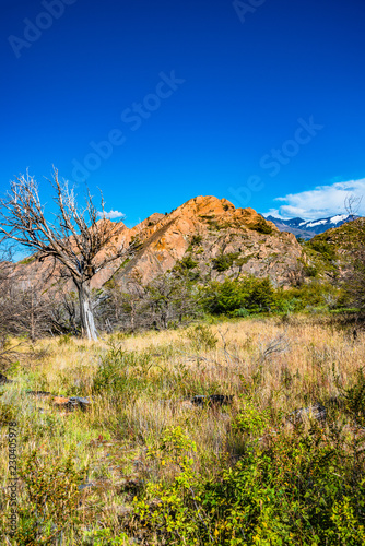 View of Torres del Paine National Park, its forests and mountings at Autumn, Patagonia, Chile, sunny day, blue sky