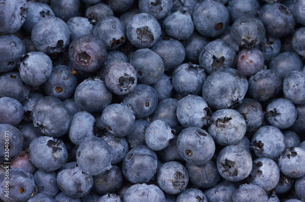 Bilberry texture Bilberry texture