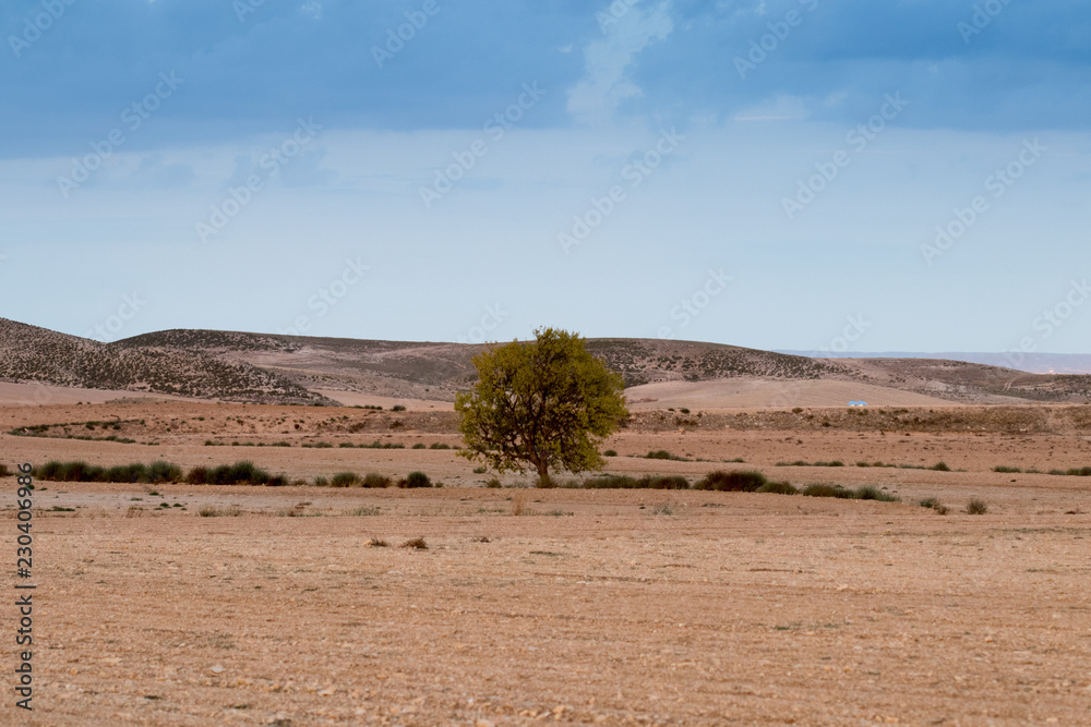 paisaje natural con cielo