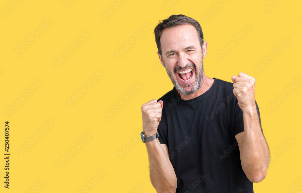 Handsome middle age hoary senior man over isolated background very happy and excited doing winner gesture with arms raised, smiling and screaming for success. Celebration concept. Handsome middle age hoary senior man over isolated background very happy and excited doing winner gesture with arms raised, smiling and screaming for success. Celebration concept.