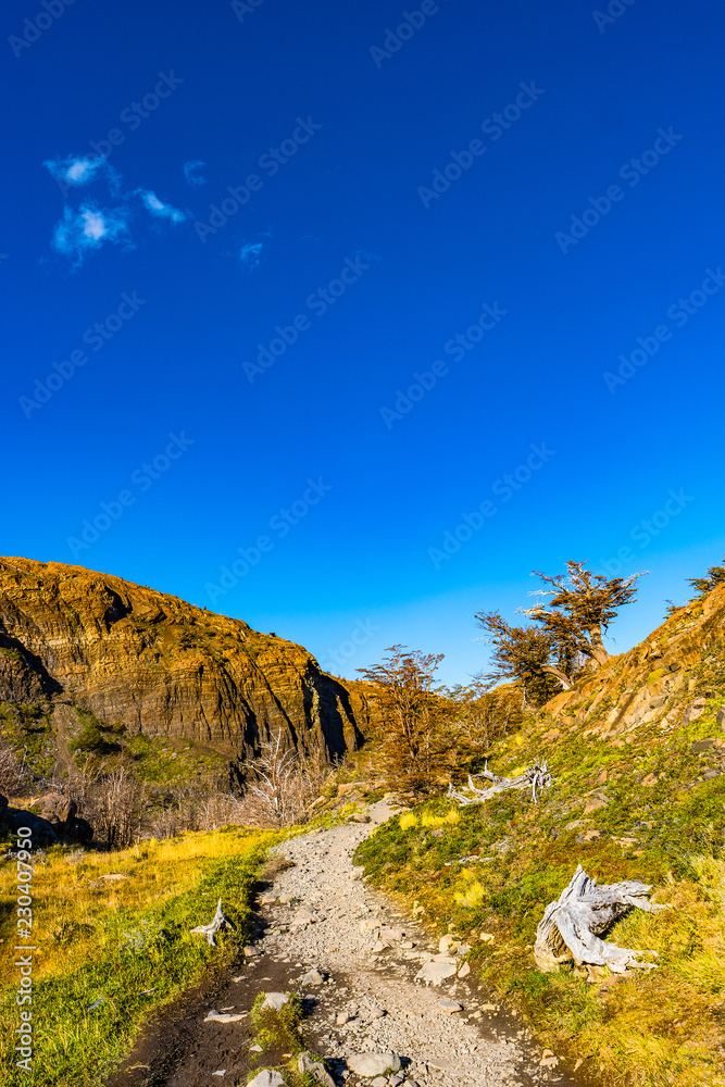View of Torres del Paine National Park, its forests and hiking trail at Autumn, Patagonia, Chile, sunny day, blue sky View of Torres del Paine National Park, its forests and hiking trail at Autumn, Patagonia, Chile, sunny day, blue sky