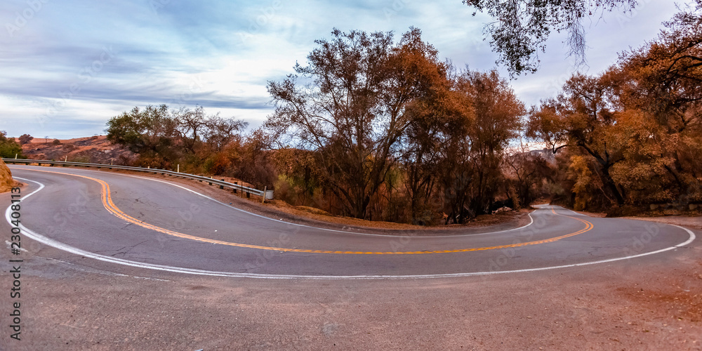 Fototapeta premium Winding road with trees and sky view in Fallbrook