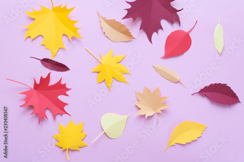 Autumn leaves on pink background. Autumn concept