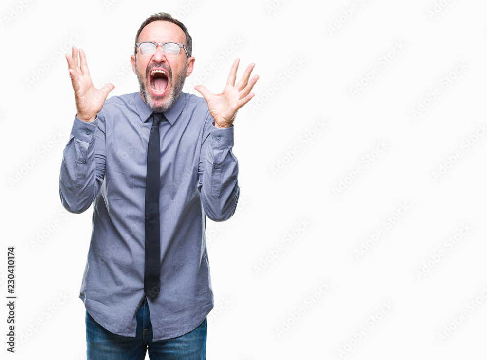 Middle age hoary senior business man wearing glasses over isolated background celebrating mad and crazy for success with arms raised and closed eyes screaming excited. Winner concept