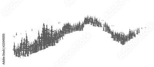 Coniferous forest landscape with hand drawn trees growing on hills or mountains. Woodland panorama with firs or spruces. Monochrome decoration isolated on white background. Vector illustration.