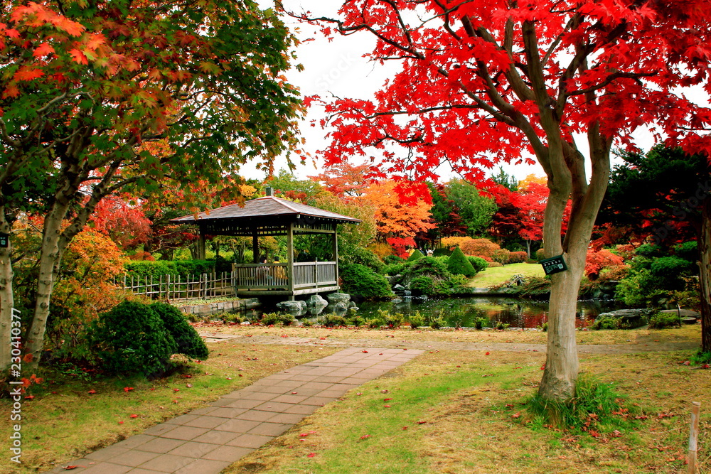 北海道、札幌、平岡樹芸センターの秋の風景