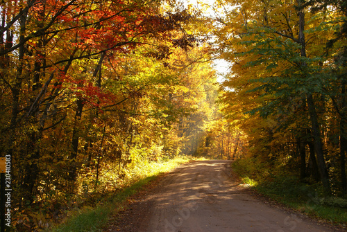 A gravel road surrounded in autumn surrounded by trees with yellow leaves, red leaves, green leaves and green grass near Hinckley Minnesota