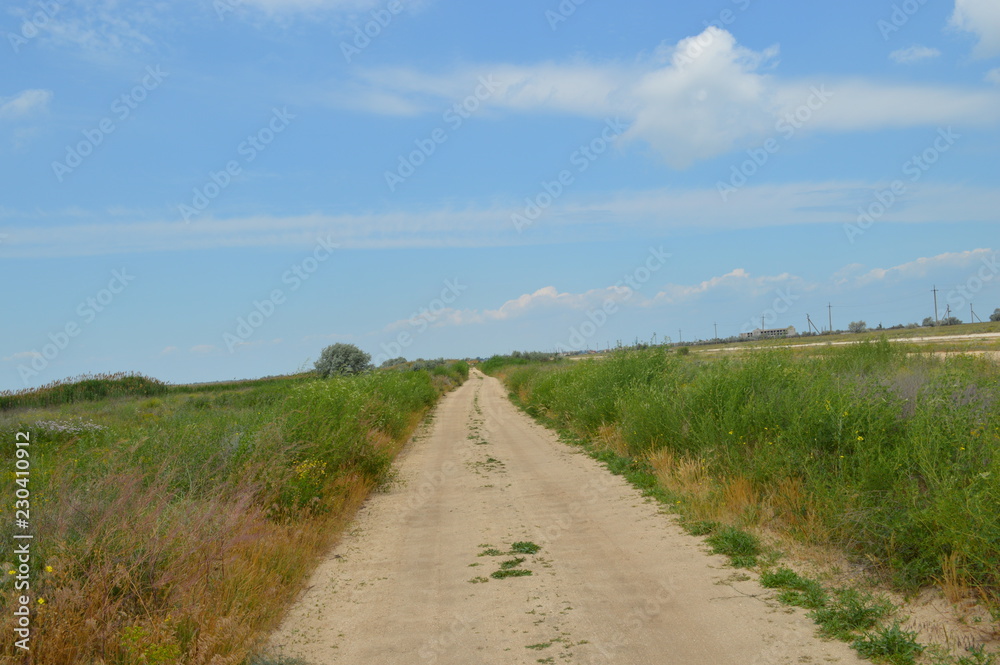 road in the field