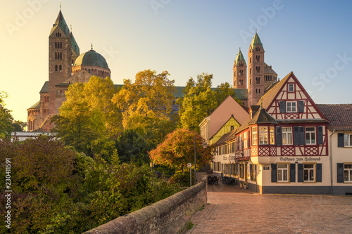 Dom zu Speyer im Herbst photo