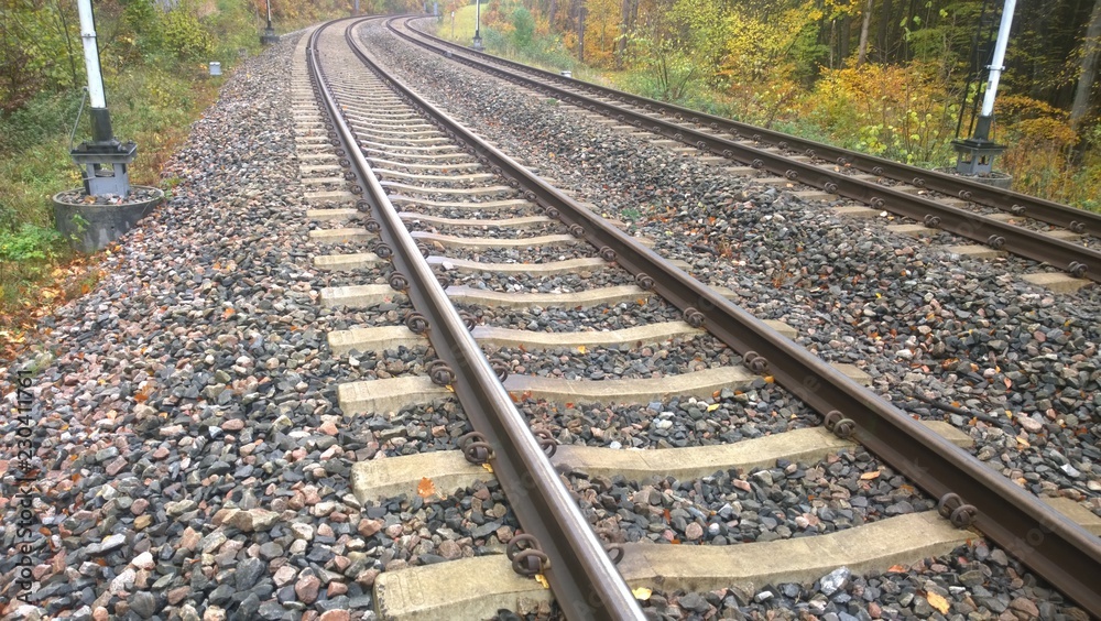 Fototapeta premium Railway tracks in the forest. Autumn