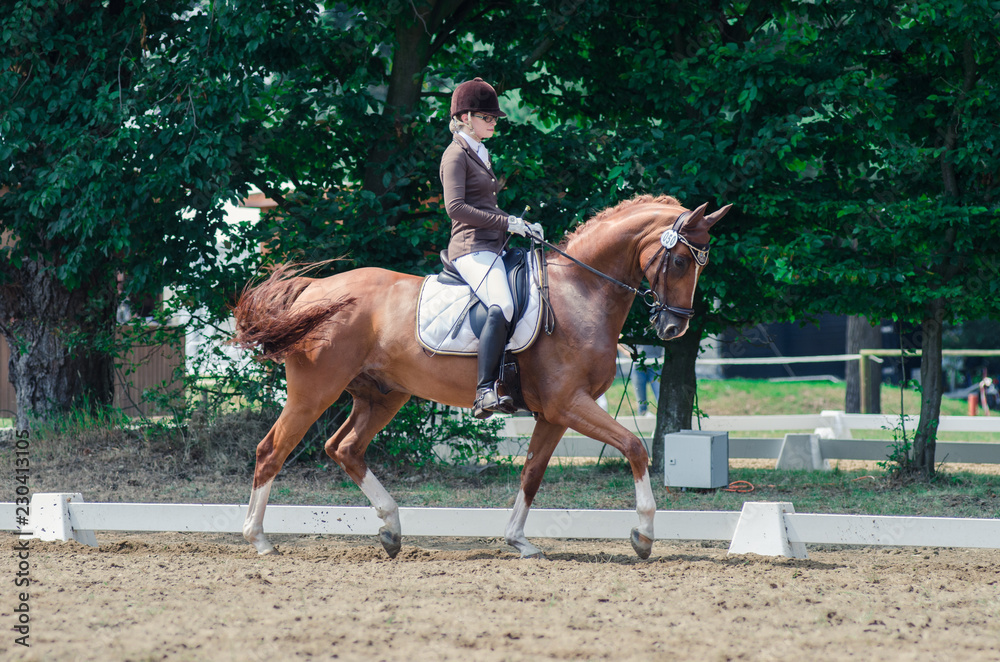 Obraz premium Dressurreiterin im Trab