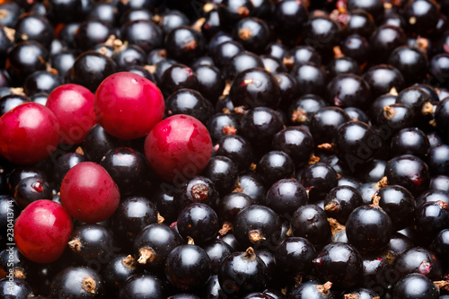 black currant berries with highlights on the skin and a few red cherry berries are located