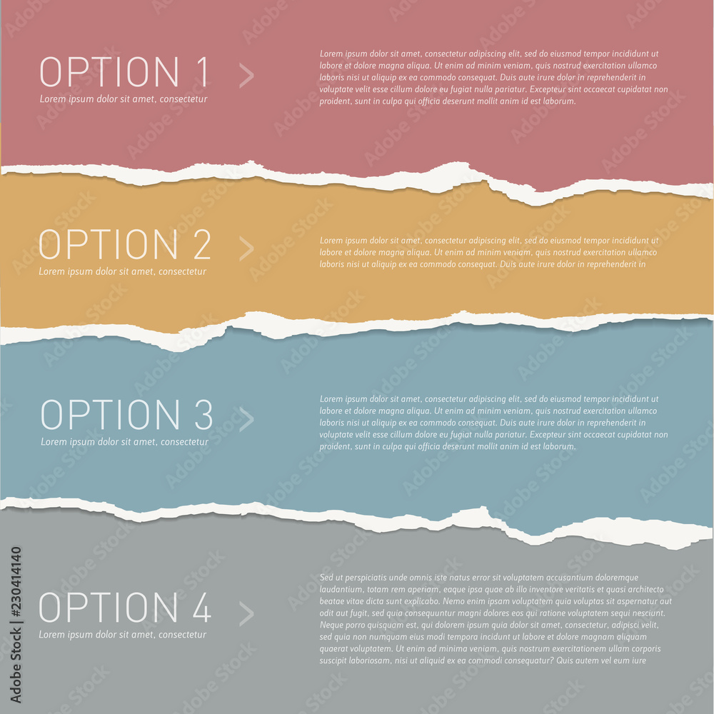 Photography Vector torn paper background