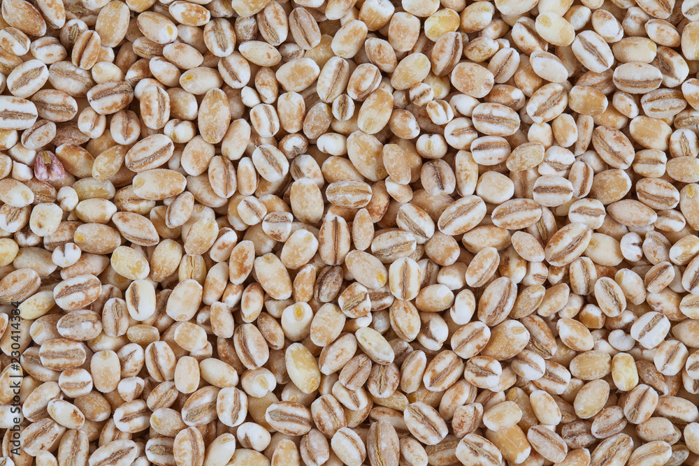 pearl barley isolated on white backrgound pearl barley isolated on white backrgound