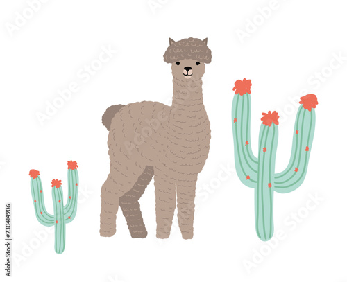 Cute llama or cria isolated on white background