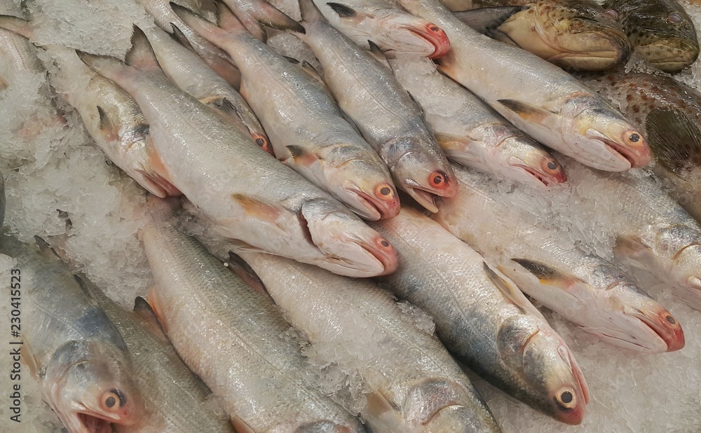 Assorted fishes sell in wet market