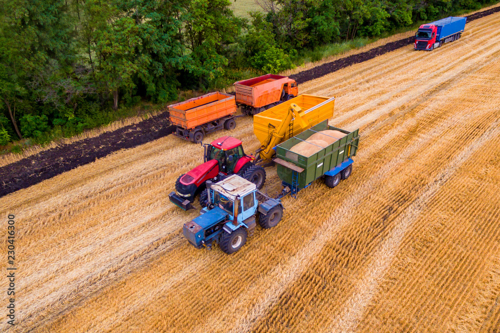 A photo of a drones above the wheat field during the harvest of wheat. Combine harvesters work on the field