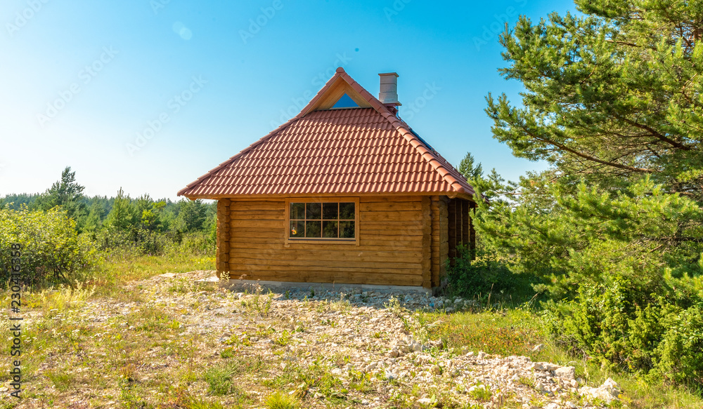 new log house in forest new log house in forest