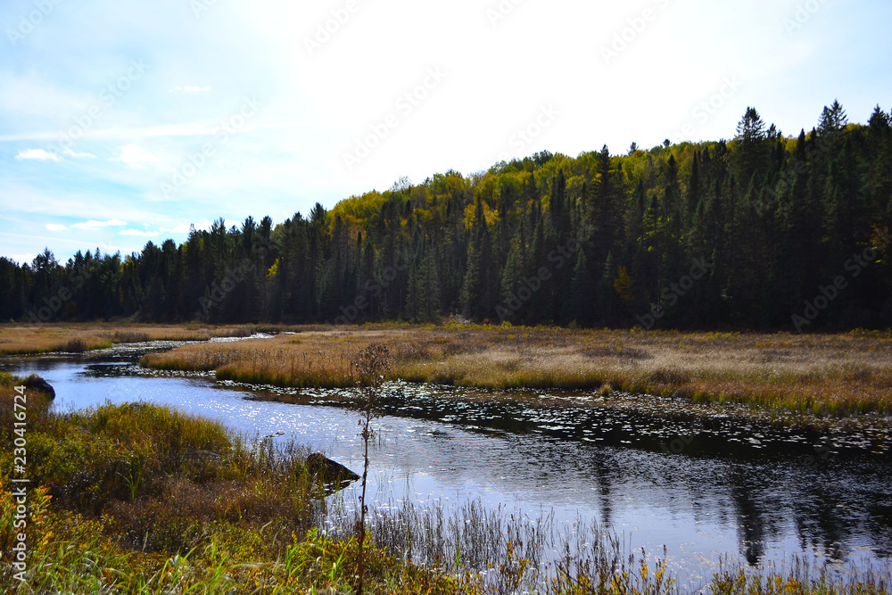 Algonquin Provincial Park, Ontario, Canada. Beautiful fall landscape with lake and mountains Algonquin Provincial Park, Ontario, Canada. Beautiful fall landscape with lake and mountains