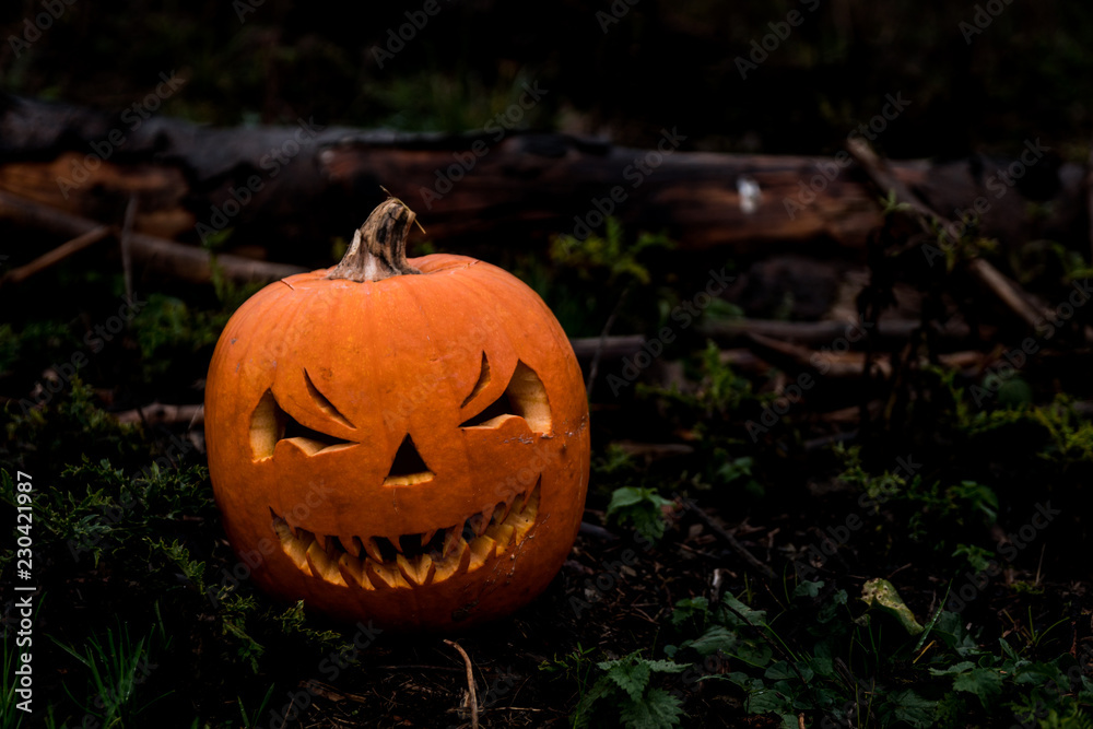 scary halloween pumpkin in the forest