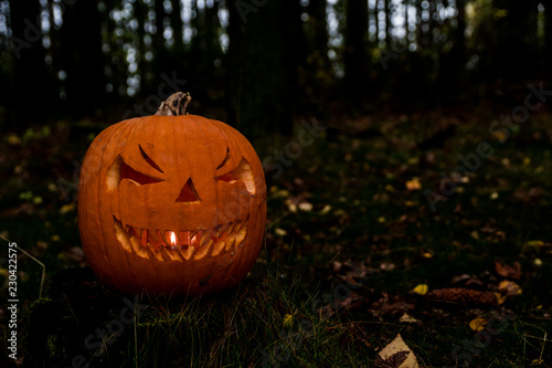 scary halloween pumpkin in the forest