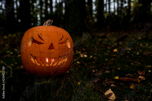 scary halloween pumpkin in the forest