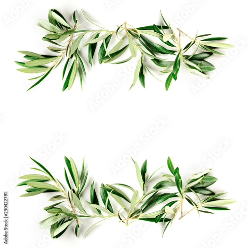An overhead photo of a frame of olive tree branches with a place for text, shot from above on a white background with copyspace