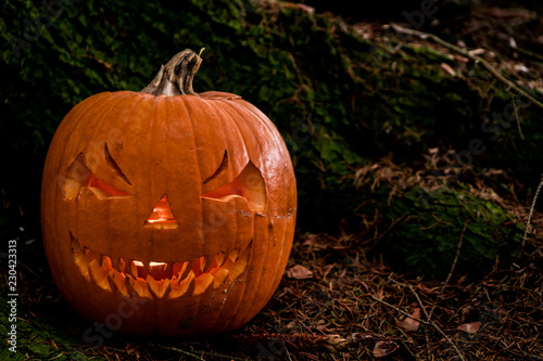 scary halloween pumpkin in the forest