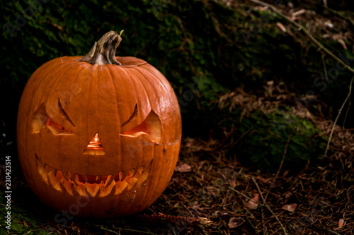 scary halloween pumpkin in the forest