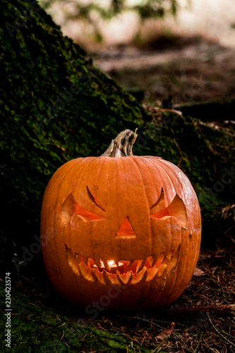 scary halloween pumpkin in the forest